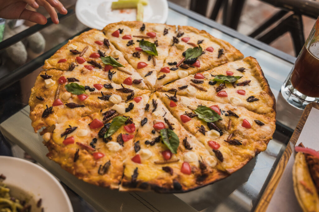 Pizza artigianale con insetti